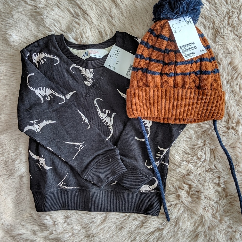 COPY - Nwt Dinosaur Sweatshirt